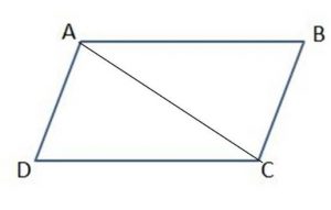 grade 4 chapter 10 Lines, Rays, and Angles image 2 559