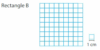 Big Ideas Math Answers 3rd Grade Chapter 15 Find Perimeter and Area 110