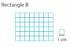 Big Ideas Math Solutions Grade 3 Chapter 15 Find Perimeter and Area 95