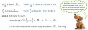 Big-Ideas-Math-Solutions-Grade-5-Chapter-8-Add-and-Subtract-Fractions-25