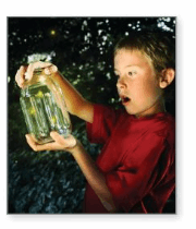 Big Ideas Math Answer Key Grade 7 Chapter 3 Expressions 40