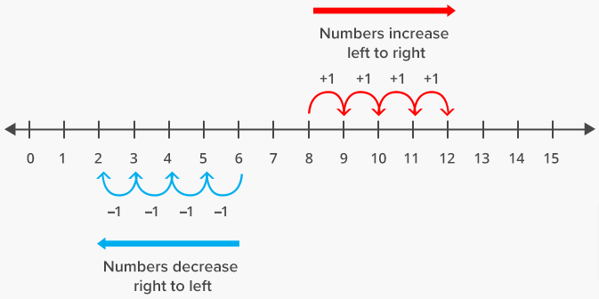 Whole Numbers on the Number Line