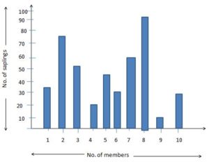 Representing Data on Bar Graph Worksheets