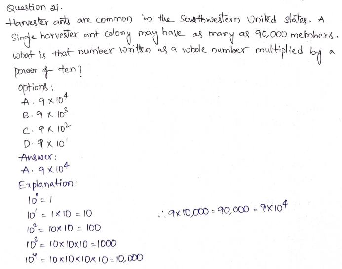 Go Math Grade 5 Answer Key Chapter 1 Place Value, Multiplication, and Expressions Page 56 Q21