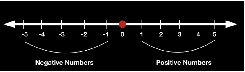Representation of Whole Numbers on Number Line 2