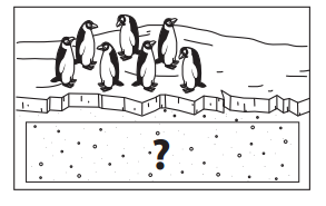Bridges in Mathematics Grade 1 Student Book Unit 6 Answer Key Figure the Facts with Penguins 11