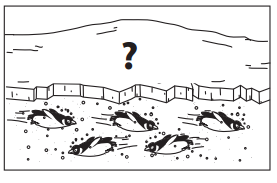 Bridges in Mathematics Grade 1 Student Book Unit 6 Answer Key Figure the Facts with Penguins 12