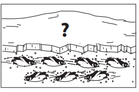 Bridges in Mathematics Grade 1 Student Book Unit 6 Answer Key Figure the Facts with Penguins 13
