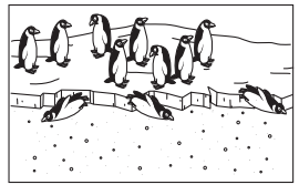 Bridges in Mathematics Grade 1 Student Book Unit 6 Answer Key Figure the Facts with Penguins 15