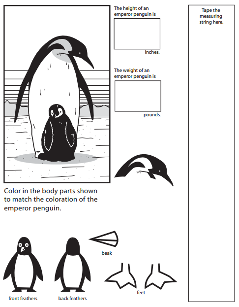 Bridges in Mathematics Grade 1 Student Book Unit 6 Answer Key Figure the Facts with Penguins 18