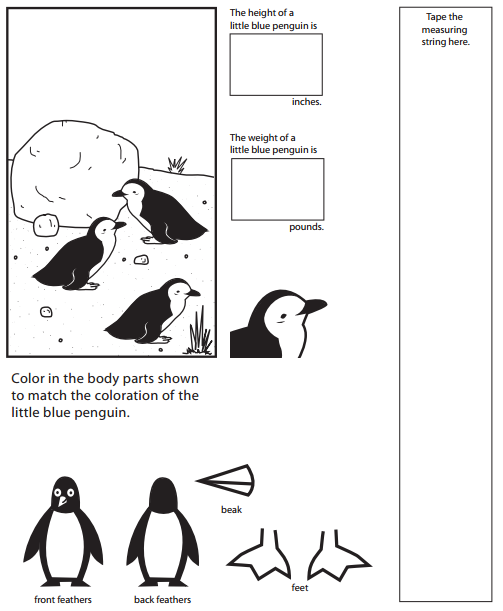Bridges in Mathematics Grade 1 Student Book Unit 6 Answer Key Figure the Facts with Penguins 19