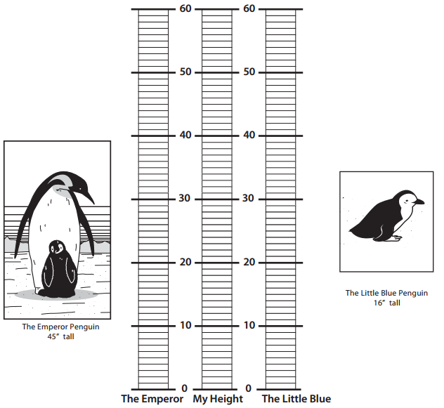 Bridges in Mathematics Grade 1 Student Book Unit 6 Answer Key Figure the Facts with Penguins 20