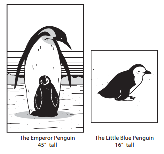 Bridges in Mathematics Grade 1 Student Book Unit 6 Answer Key Figure the Facts with Penguins 22