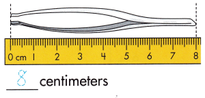 Spectrum Math Grade 2 Chapter 6 Lesson 10 Answer Key Measuring Length in Centimeters 1