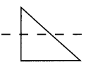 Spectrum Math Grade 4 Chapter 8 Lesson 3 Answer Key Symmetrical Shapes 5
