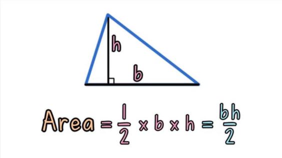Explore Area of Triangles