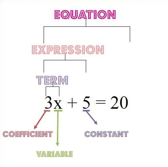 Grade 7 Expressions and Equations